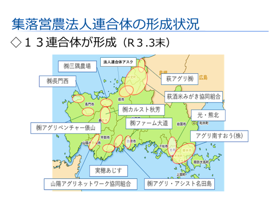 集落営農法人連合体の形成状況